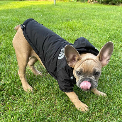 Petvaro™ Waterproof Reflective Winter Dog Jacket