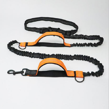 Petvaro™ Multifunctional Dog Leash