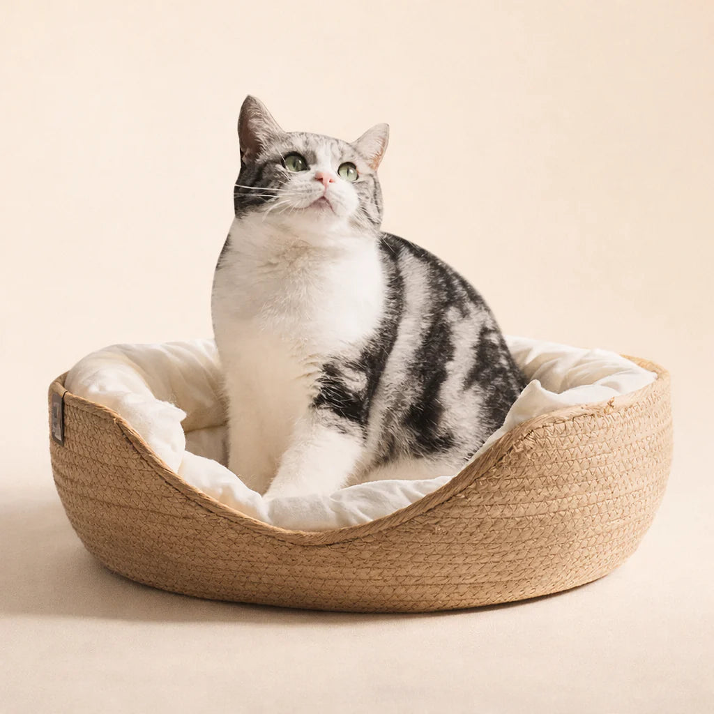 Petvaro™ Eco-Friendly Woven Pet Bed