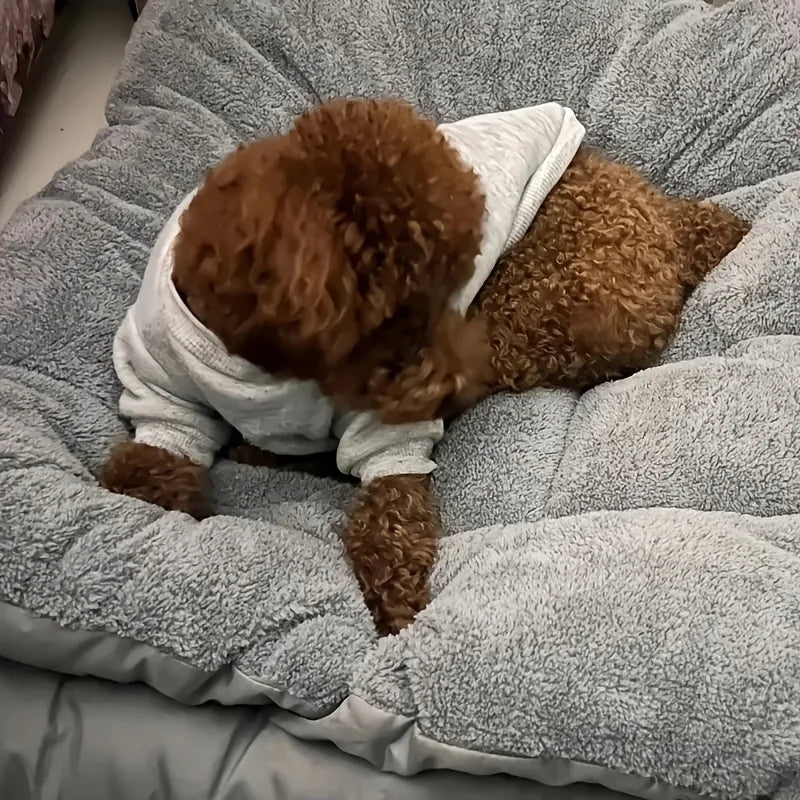 Petvaro™ Cloudbed XL Extra Large Pet Bed