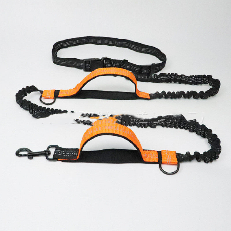 Petvaro™ Multifunctional Dog Leash
