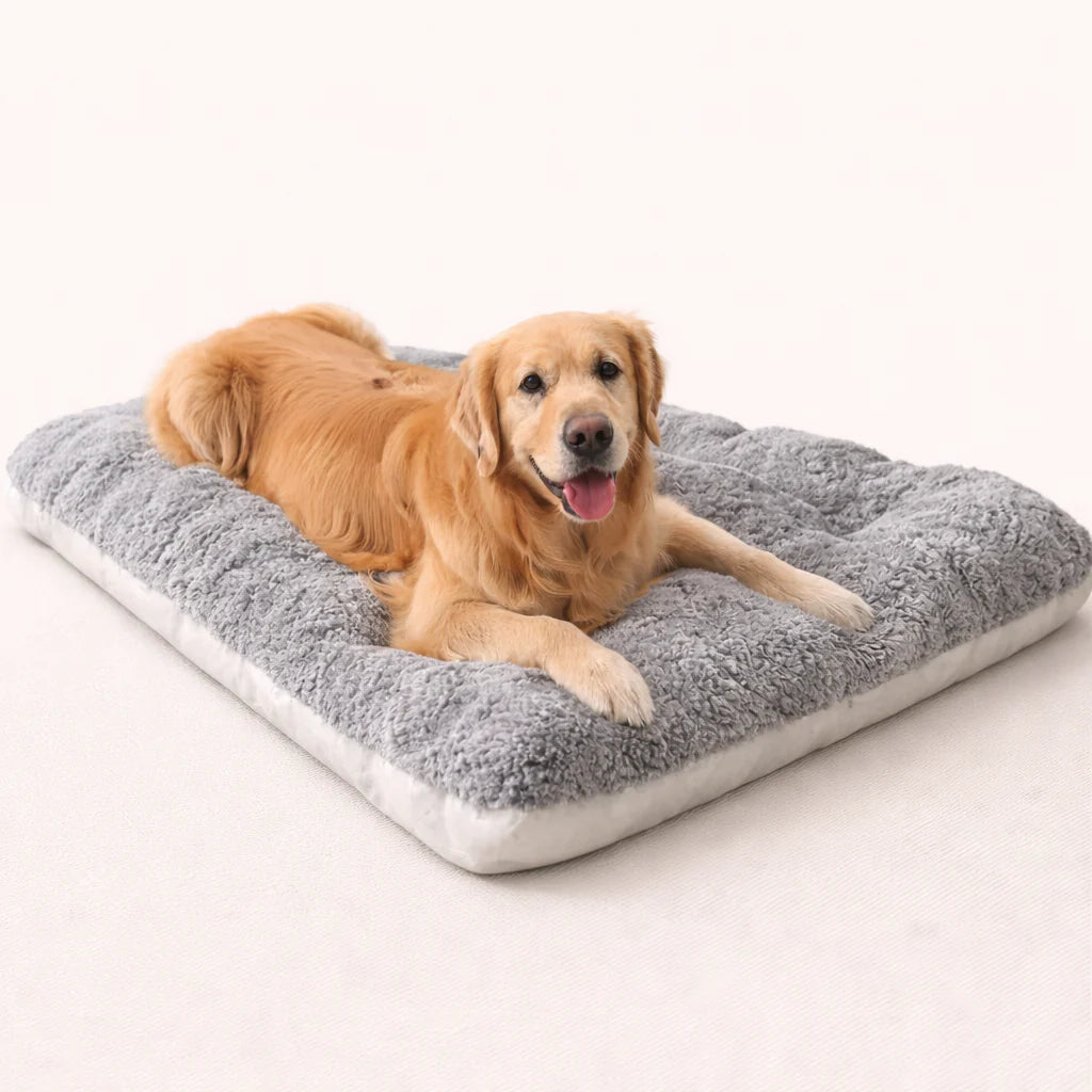 Petvaro™ Cloudbed XL Extra Large Pet Bed
