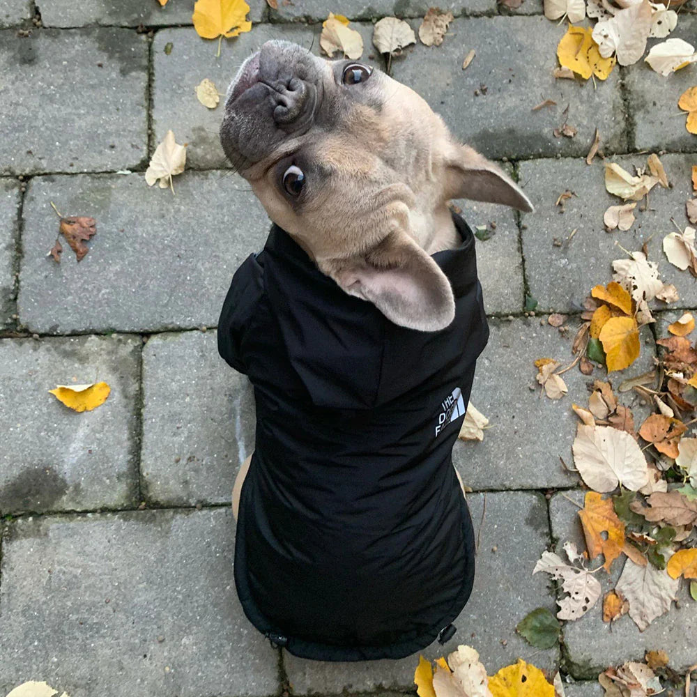 Petvaro™ Waterproof Reflective Winter Dog Jacket