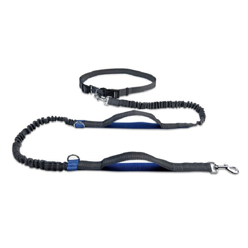 Petvaro™ Multifunctional Dog Leash