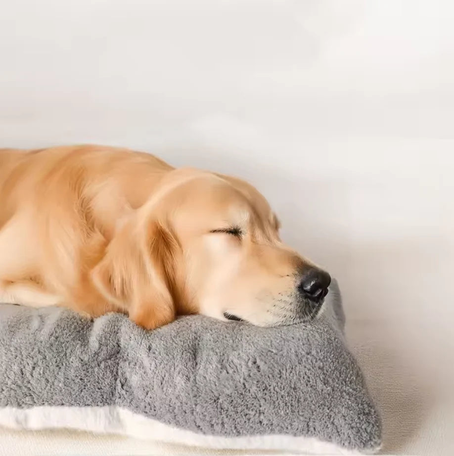 Petvaro™ Cloudbed XL Extra Large Pet Bed